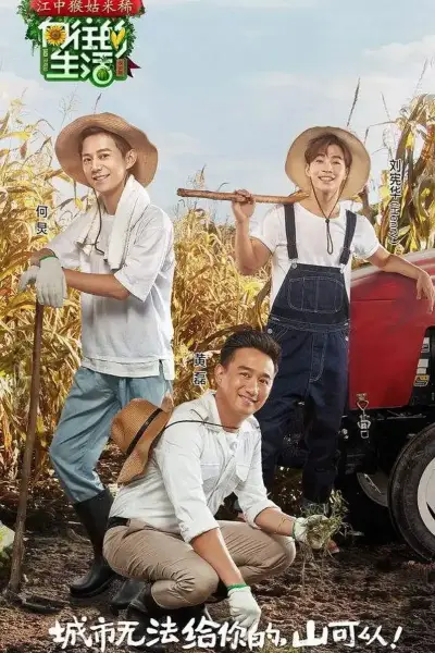四角粽子的包法视频慢动作